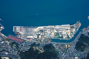 Tanoura Vehicle Distribution Center Image