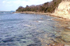 馬島の北部海岸写真